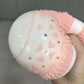 Squishy Jumbo Cookie