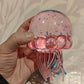 Needoh Jelly Squish Jellyfish Squishy