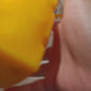 Jumbo cheese squishy