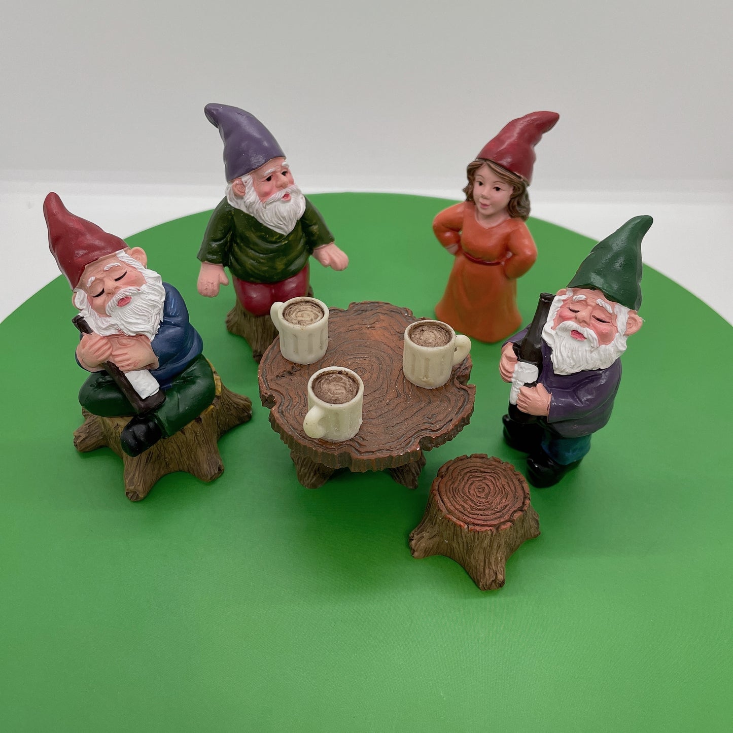 6PCS Gnomes and Fairy Fairy Garden Kits