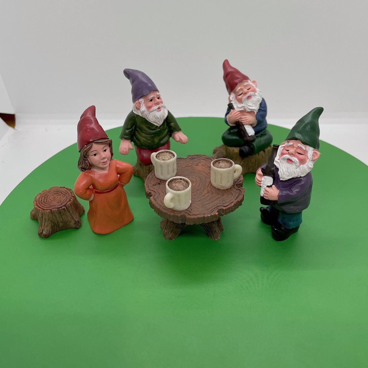 6PCS Gnomes and Fairy Fairy Garden Kits