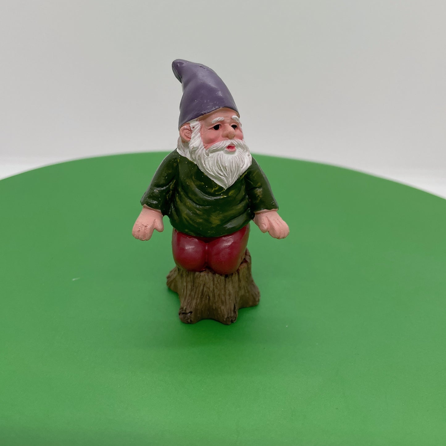 6PCS Gnomes and Fairy Fairy Garden Kits