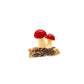 Mushroom Miniature Fairy Garden Accessories – Resin Mini Decoration for Fairy Gardens